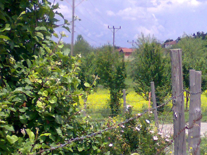 Kastamonu Çevreli Köyü Resimleri 10