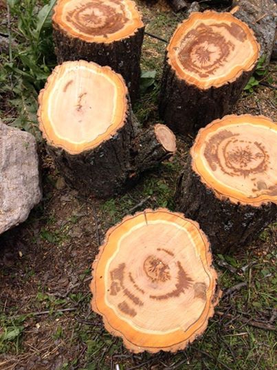 Akıncılar Göllüce Köyü Resimleri 11