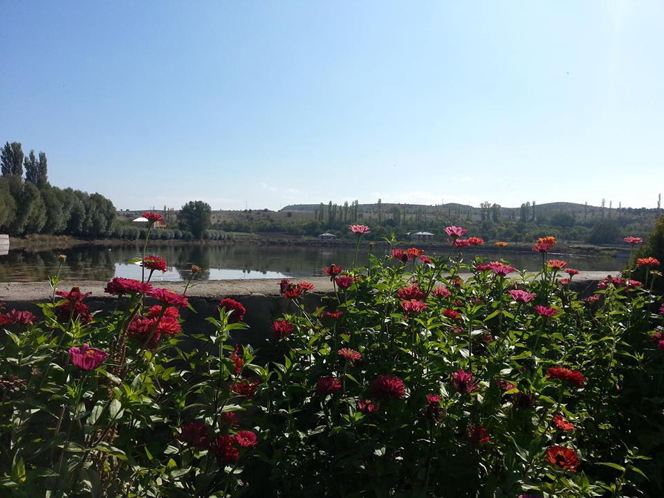 Akıncılar Göllüce Köyü Resimleri 27