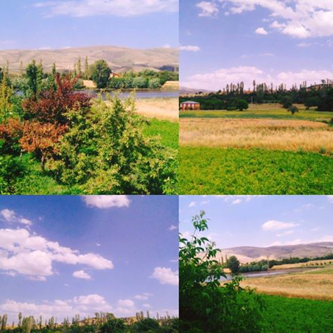 Akıncılar Göllüce Köyü Resimleri 8