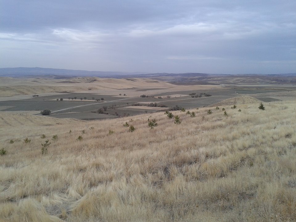 Çorum Sungurlu Dayıncak Köyü Resimleri 8