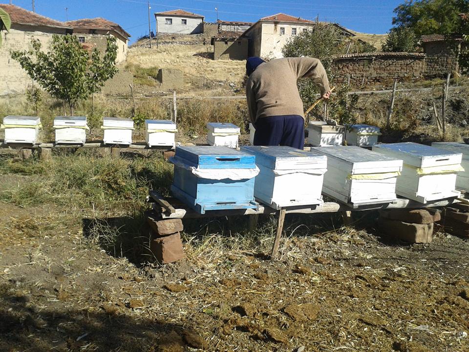 Çorum Sungurlu Dayıncak Köyü Resimleri 9