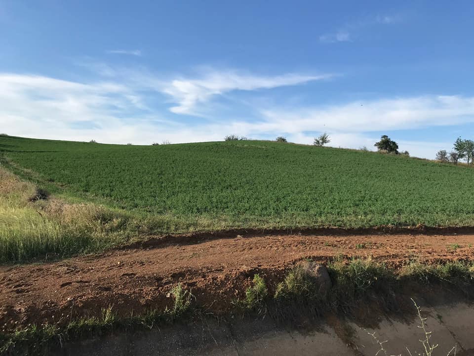 Kastamonu Çiğil Köyü Resimleri 3