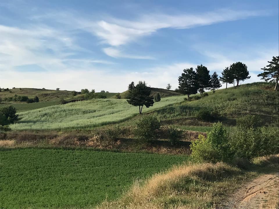 Kastamonu Çiğil Köyü Resimleri 4