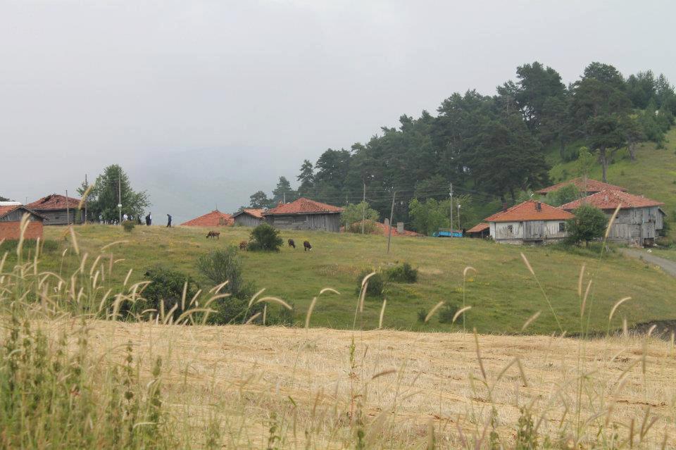 Kastamonu Demirci Köyü Resimleri 11