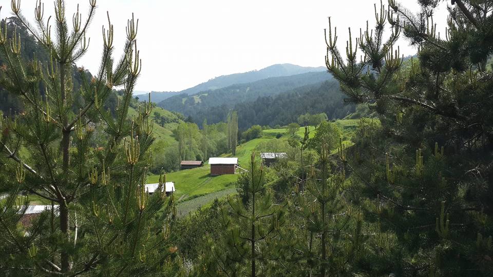 Kastamonu Dereberçin Köyü Resimleri 1
