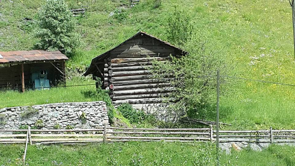 Kastamonu Dereberçin Köyü Resimleri 2