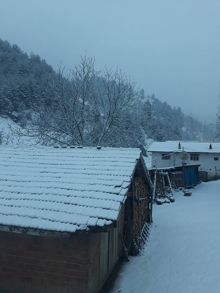 Kastamonu Dereberçin Köyü Resimleri 4