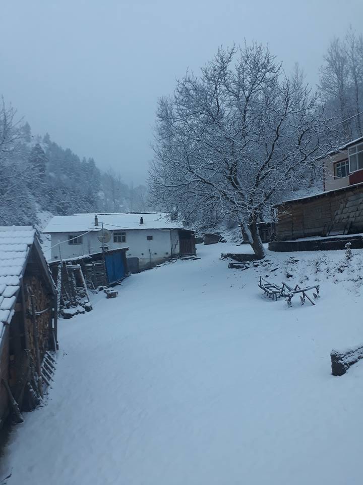 Kastamonu Dereberçin Köyü Resimleri 5