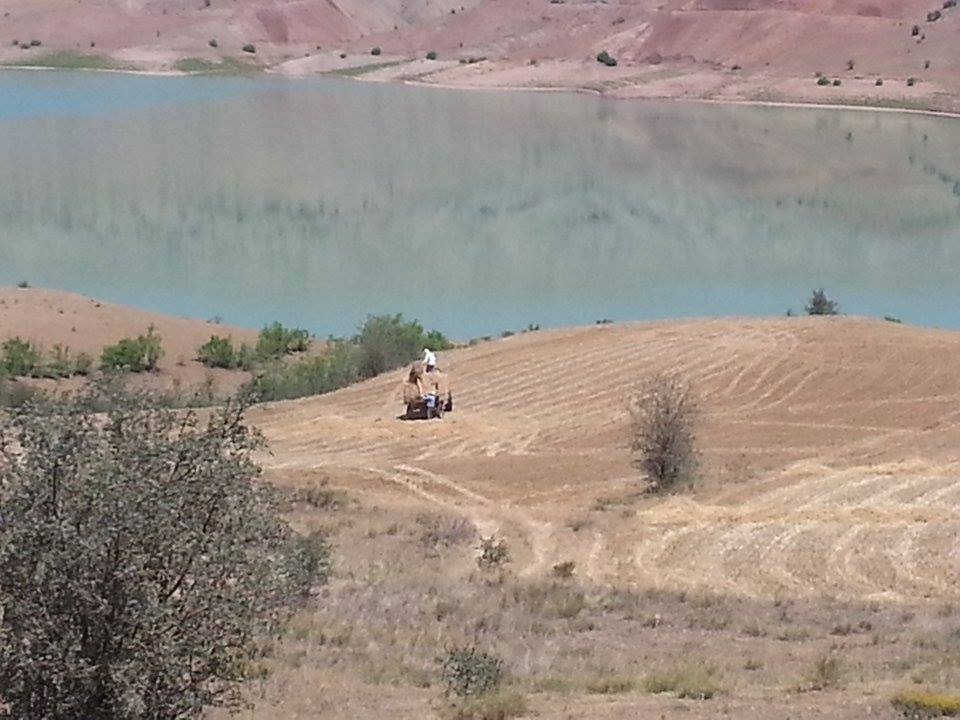 Akıncılar İkizyurt Köyü Resimleri 7