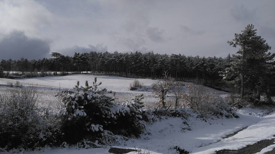 Kastamonu Elmayakası Köyü Resimleri 2