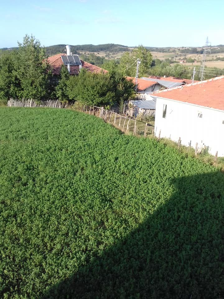 Kastamonu Esenli Köyü Resimleri 11