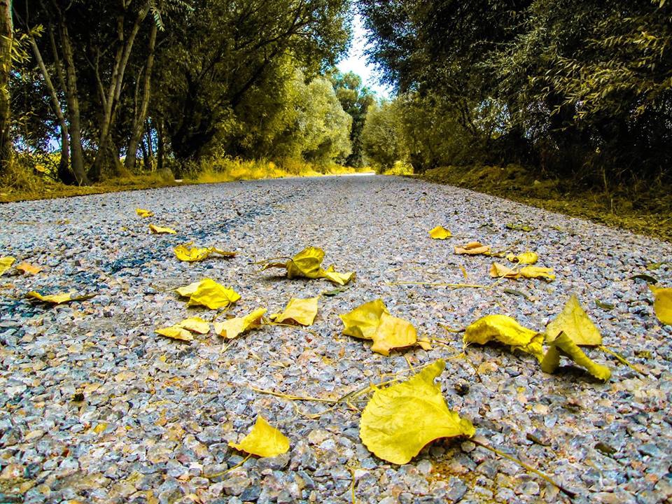 Elbistan Ağlıca Köyü Resimleri 11