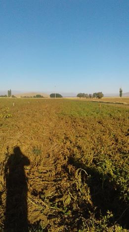 Elbistan Akbayır Köyü Resimleri 6