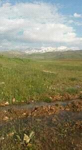 Elbistan Akbayır Köyü Resimleri 7