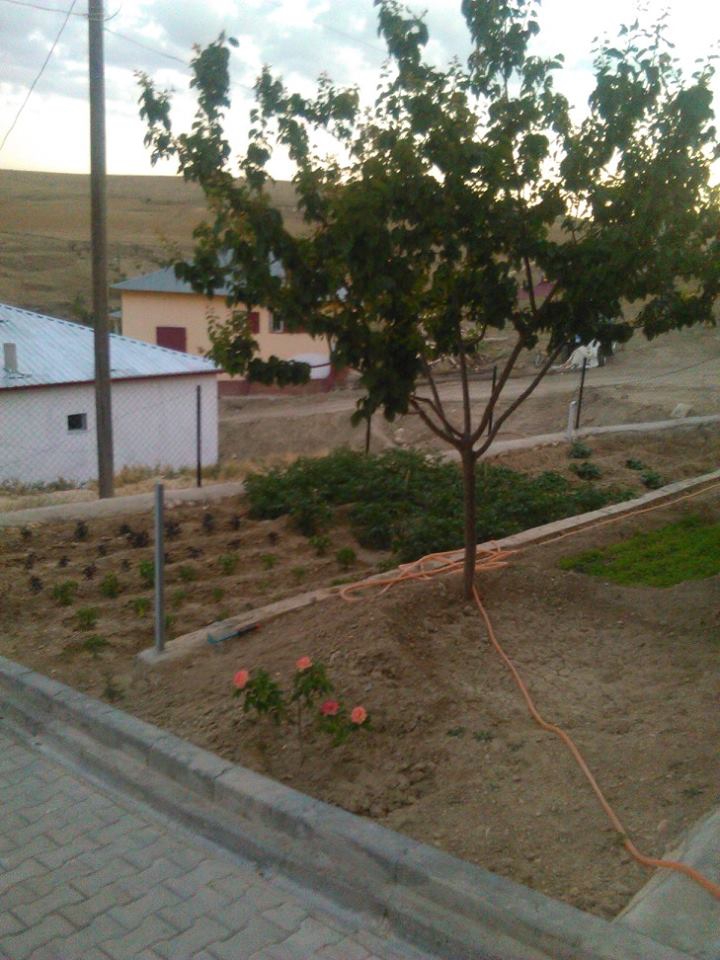 Elbistan Aksakal Köyü Resimleri 3