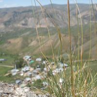 Bayburt Petekkaya Köyü Resimleri 3