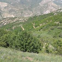 Bayburt Petekkaya Köyü Resimleri 4