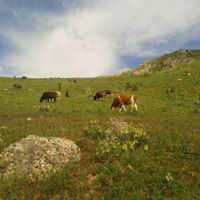 Bayburt Petekkaya Köyü Resimleri 6