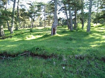 Kastamonu Gelinören Köyü Resimleri 1