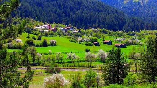 Kastamonu Göcen Köyü Resimleri 1