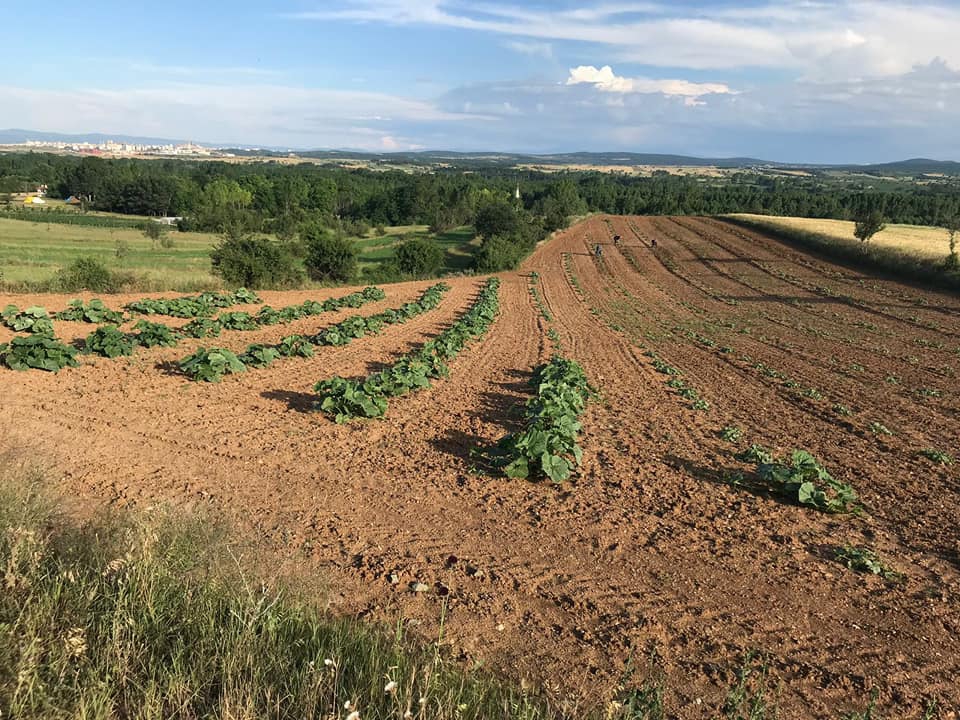 Kastamonu Göcen Köyü Resimleri 2