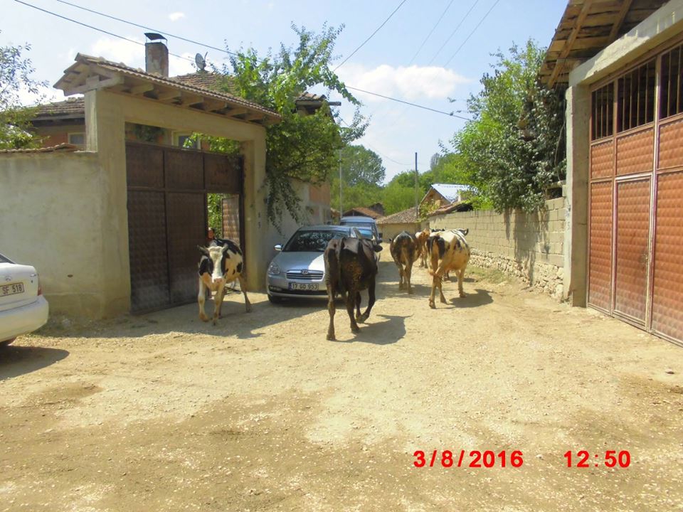 Kastamonu Gökçekent Köyü Resimleri 2