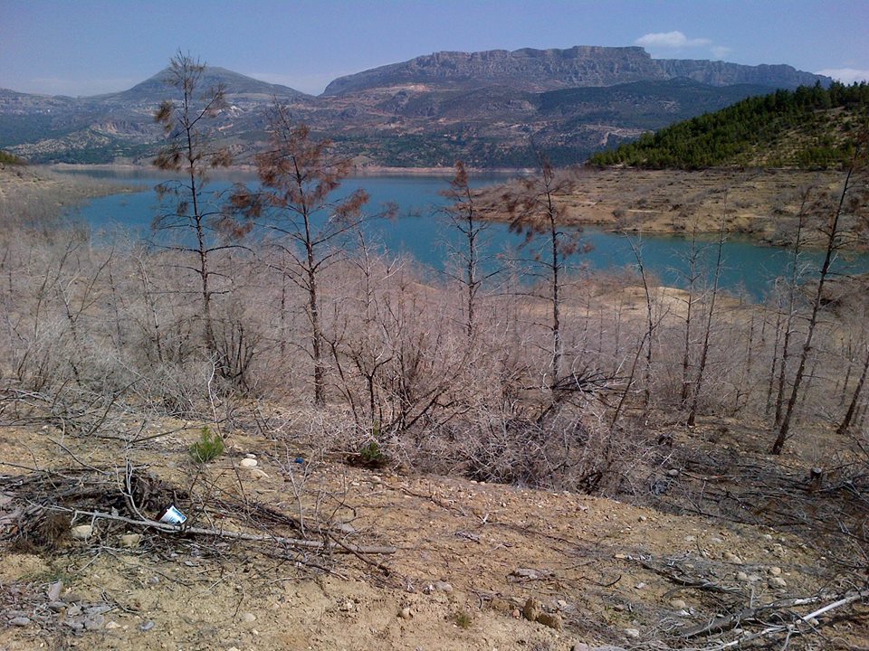 Kastamonu Gökçekent Köyü Resimleri 5