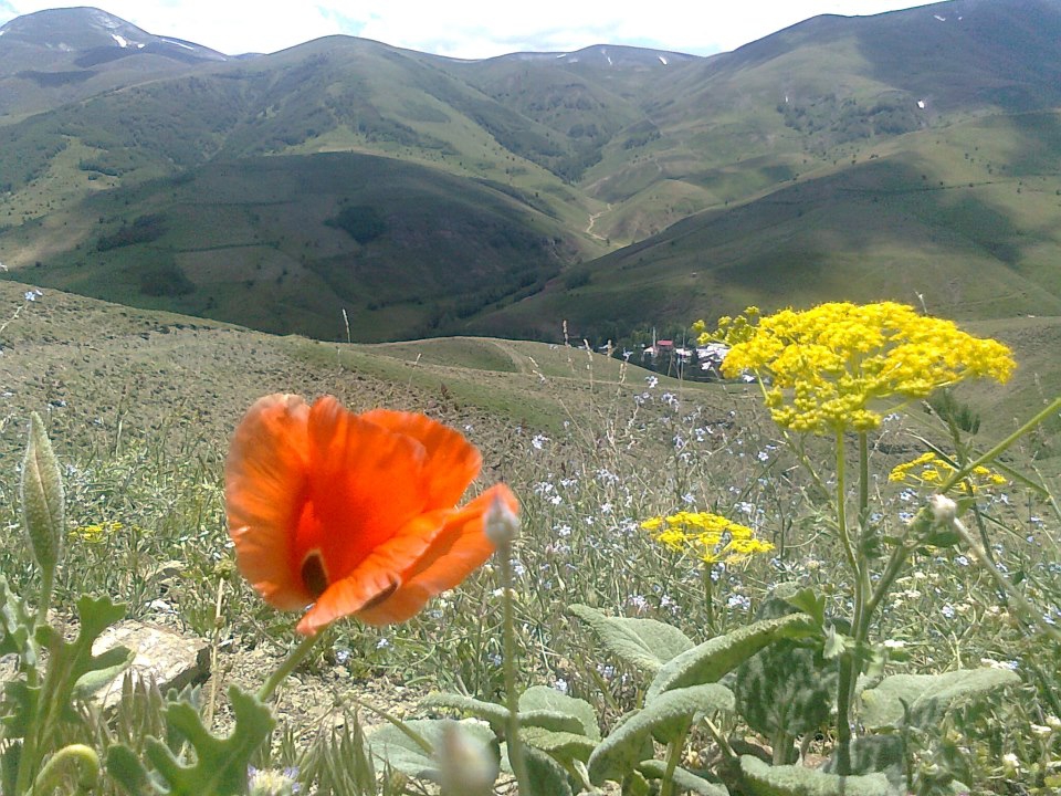 Bayburt Sığırcı Köyü Resimleri 1