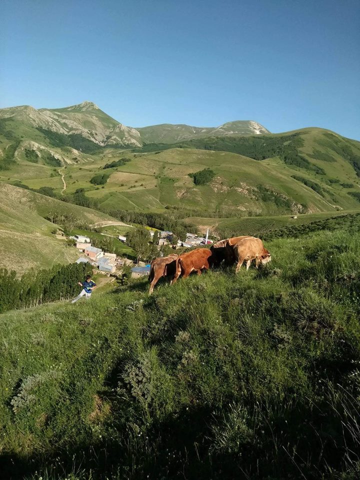 Bayburt Sığırcı Köyü Resimleri 3