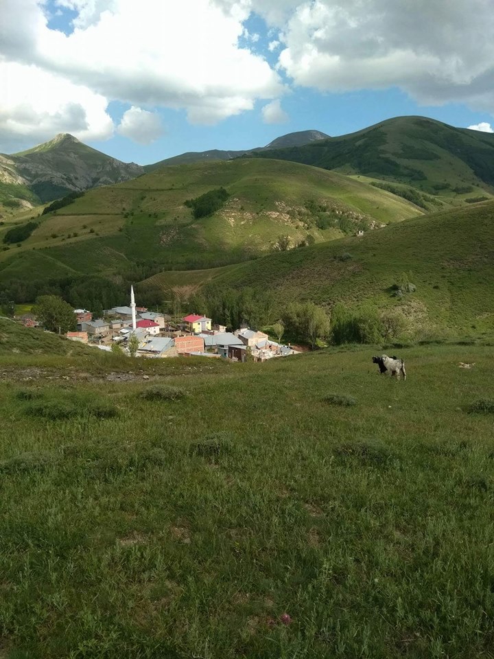 Bayburt Sığırcı Köyü Resimleri 4