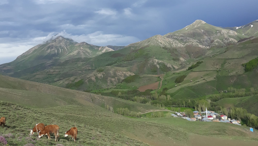 Bayburt Sığırcı Köyü Resimleri 5