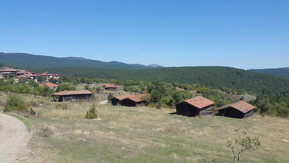 Kastamonu Hacıköy Köyü Resimleri 1