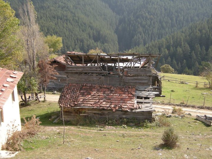 Kastamonu Hacıköy Köyü Resimleri 8