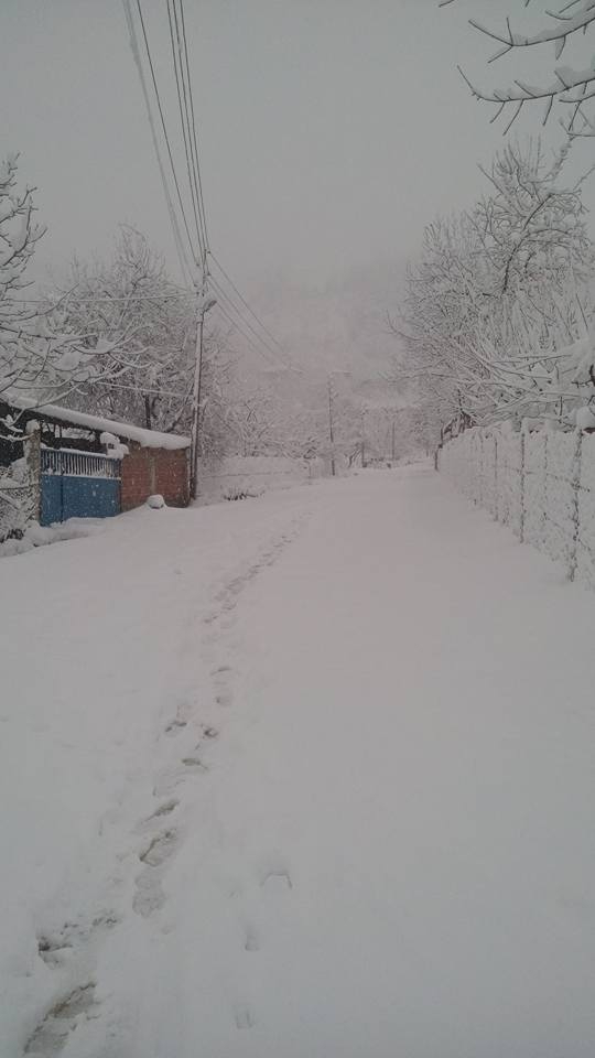 Canik Gölalan Köyü Resimleri 11