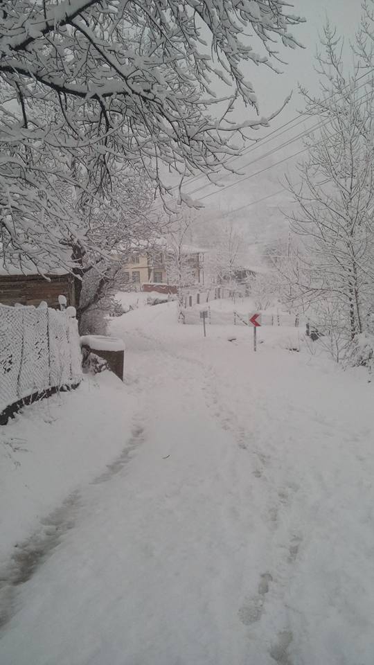 Canik Gölalan Köyü Resimleri 13