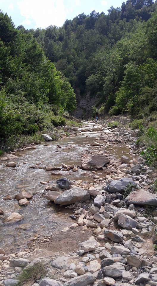 Canik Gölalan Köyü Resimleri 6