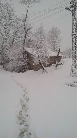 Canik Gölalan Köyü Resimleri 8