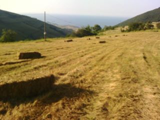 Canik Gürgenyatak Köyü Resimleri 12