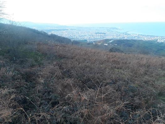 Canik Gürgenyatak Köyü Resimleri 7