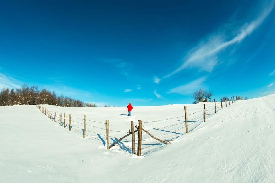 Canik Gürgenyatak Köyü Resimleri 9