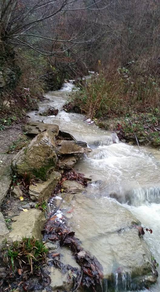 Canik Kaleboğazı Köyü Resimleri 1