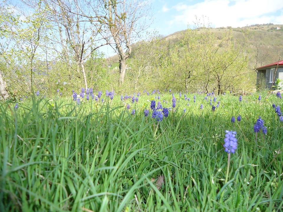 Canik Kaleboğazı Köyü Resimleri 11