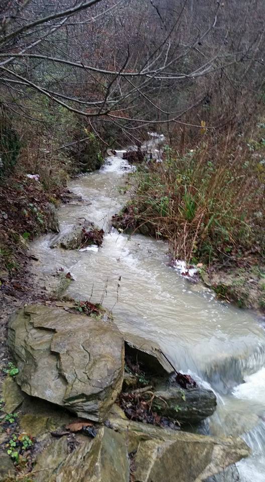 Canik Kaleboğazı Köyü Resimleri 6