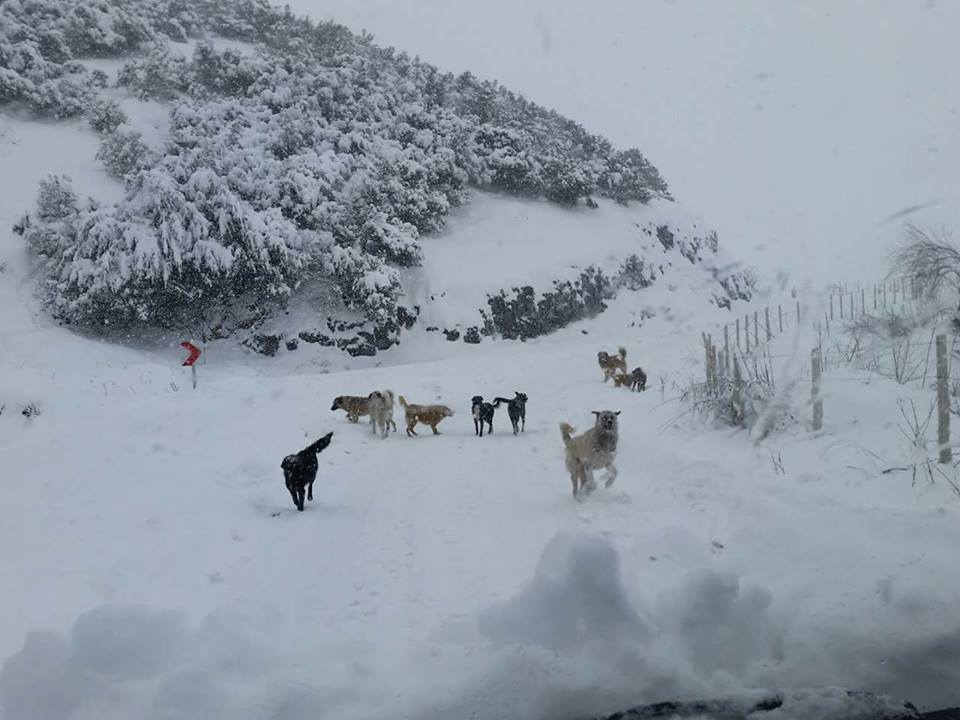 Canik Kaşyayla Köyü Resimleri 2