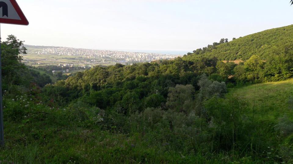 Canik Kozlu Köyü Resimleri 6