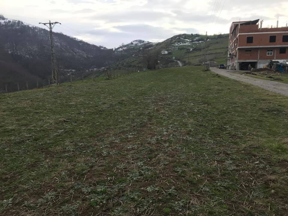 Canik Kozlu Köyü Resimleri 8