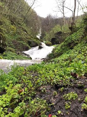 Canik Toygar Köyü Resimleri 3