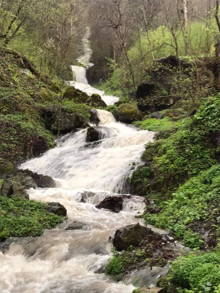 Canik Toygar Köyü Resimleri 4