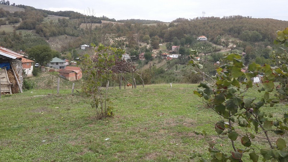 Canik Tuzaklı Köyü Resimleri 10